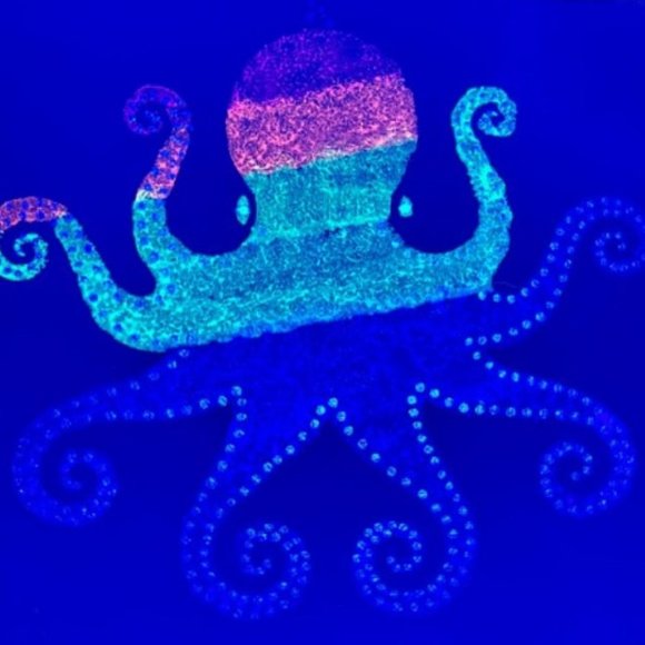 UV BLACKLIGHT RAINBOW OCTOPUS PAINTING Black Canvas Coral Saltwater Reef Ocean - Picture 5 of 5